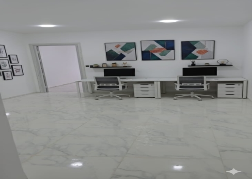 Super bureau hall + 4 pièces au lac 3 kram